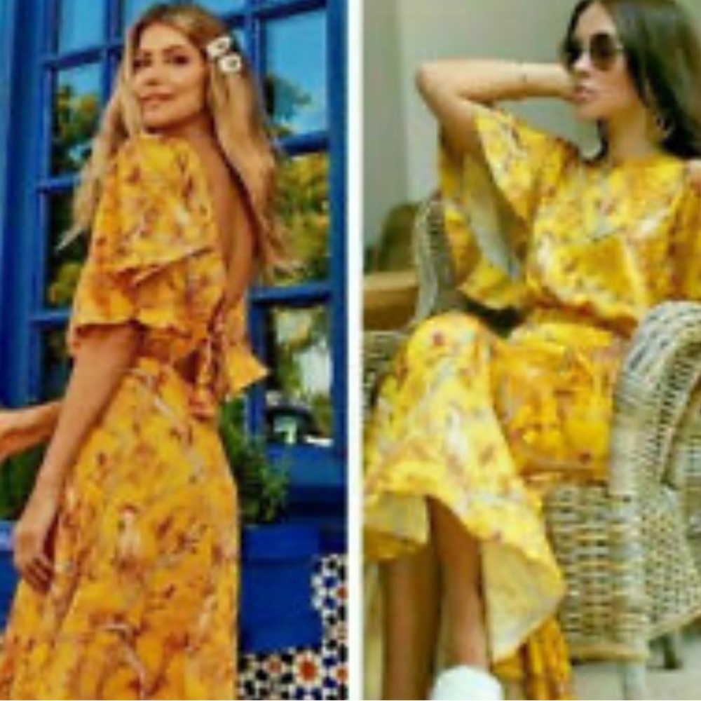 Johanna Ortiz x HM maxi dress